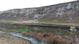 Descoperire macabră. Cadavrul unui bărbat a fost găsit în râul Răut